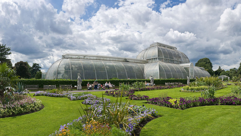 The Palm House and Parterre at Kew Gardens in London.  Photo Credit: © Diliff via Wikimedia Commons.